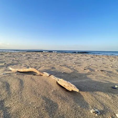 Asteria Appartement *